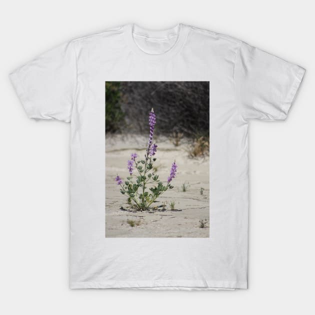 Purple Lupine in the Desert Oasis T-Shirt by ButterflyInTheAttic